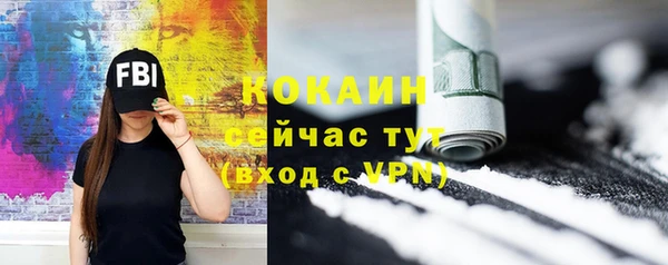 прущие грибы Снежинск