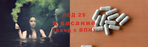 спиды Зуевка