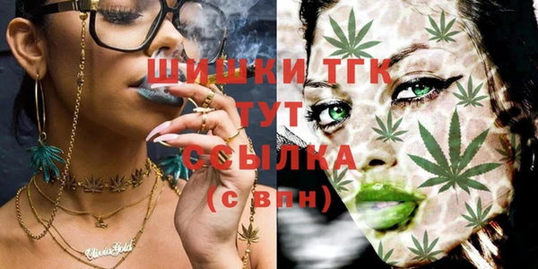 прущие грибы Снежинск