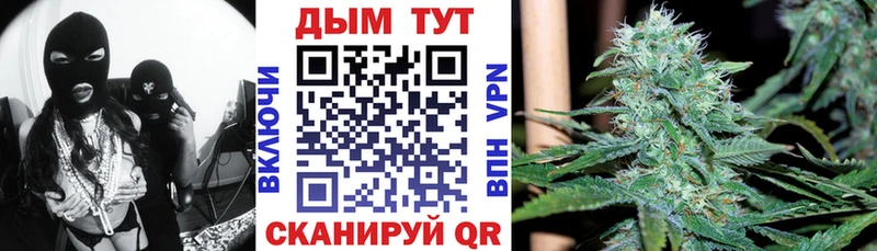 Бошки Шишки гибрид  Купить где  Зеленоградск 